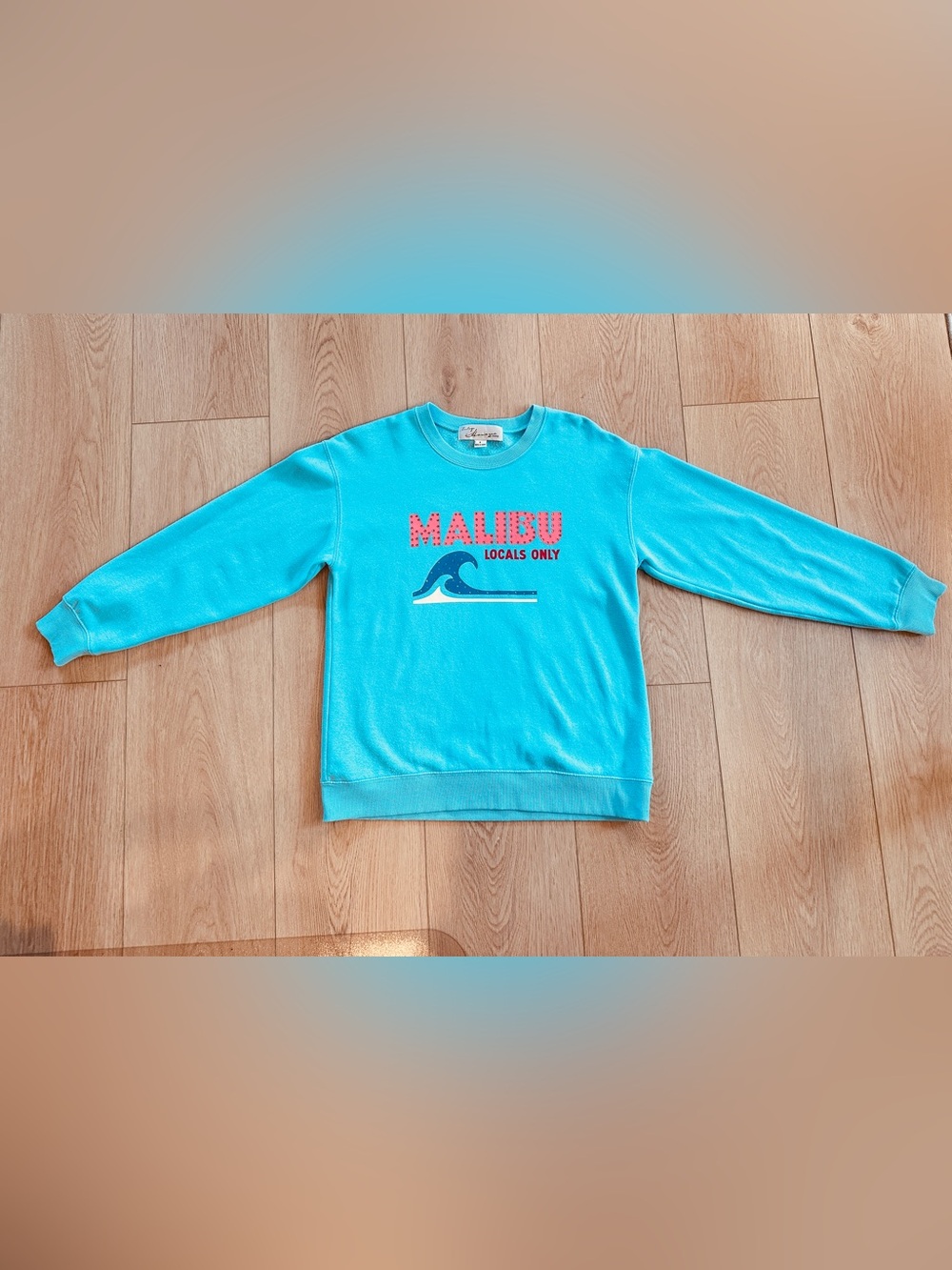 🩷🩵 Oversized Vintage Havana Tropical Blue Malibu Jet Setter Surf Wash Crewneck